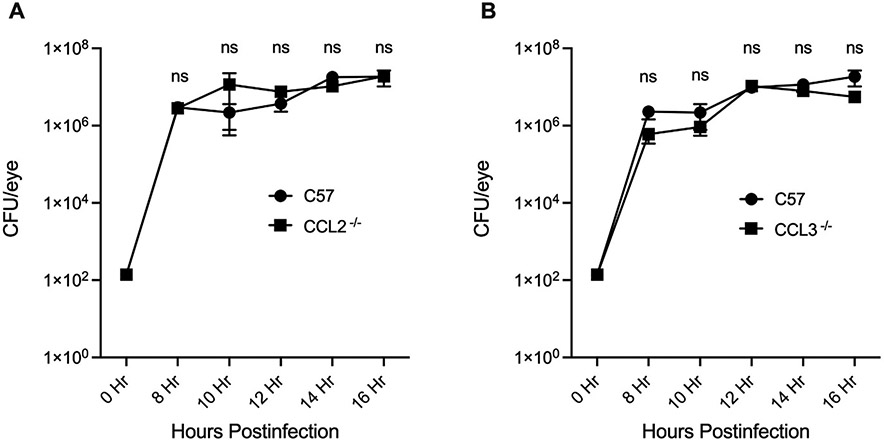 Fig. 2: