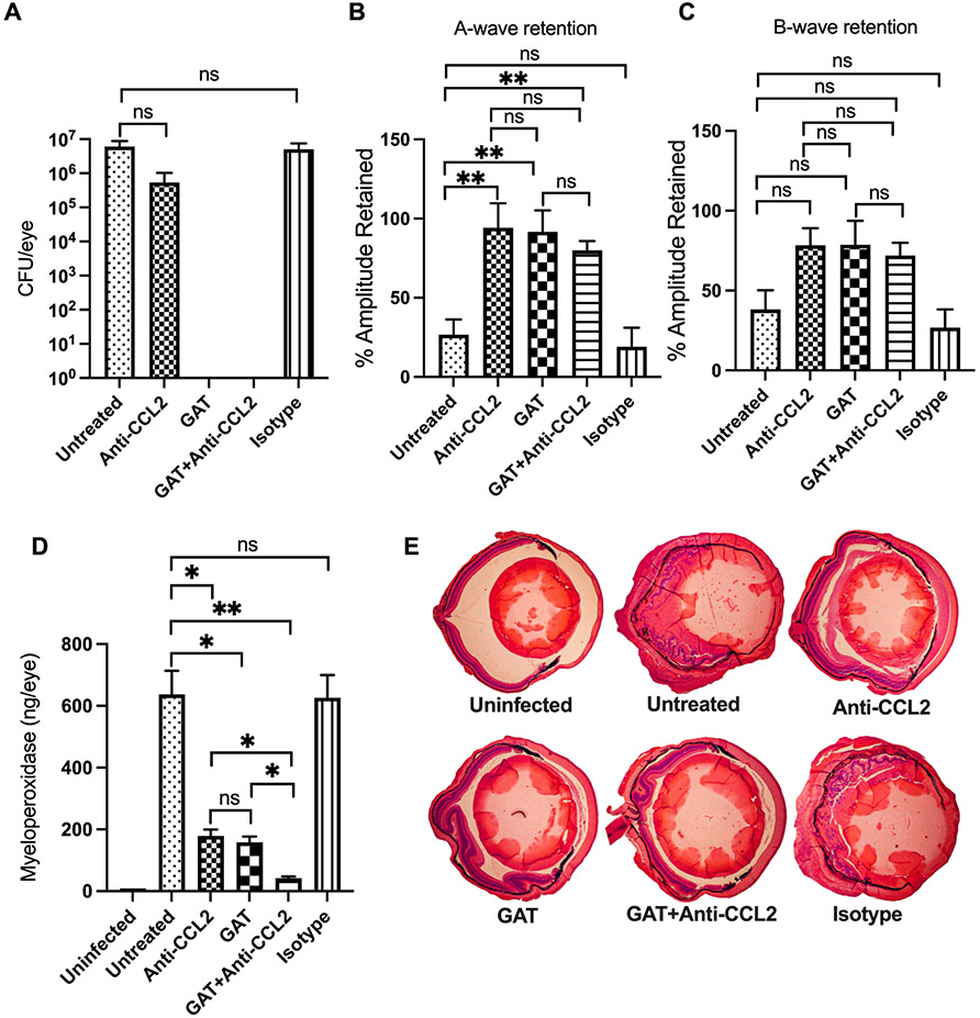 Fig. 8: