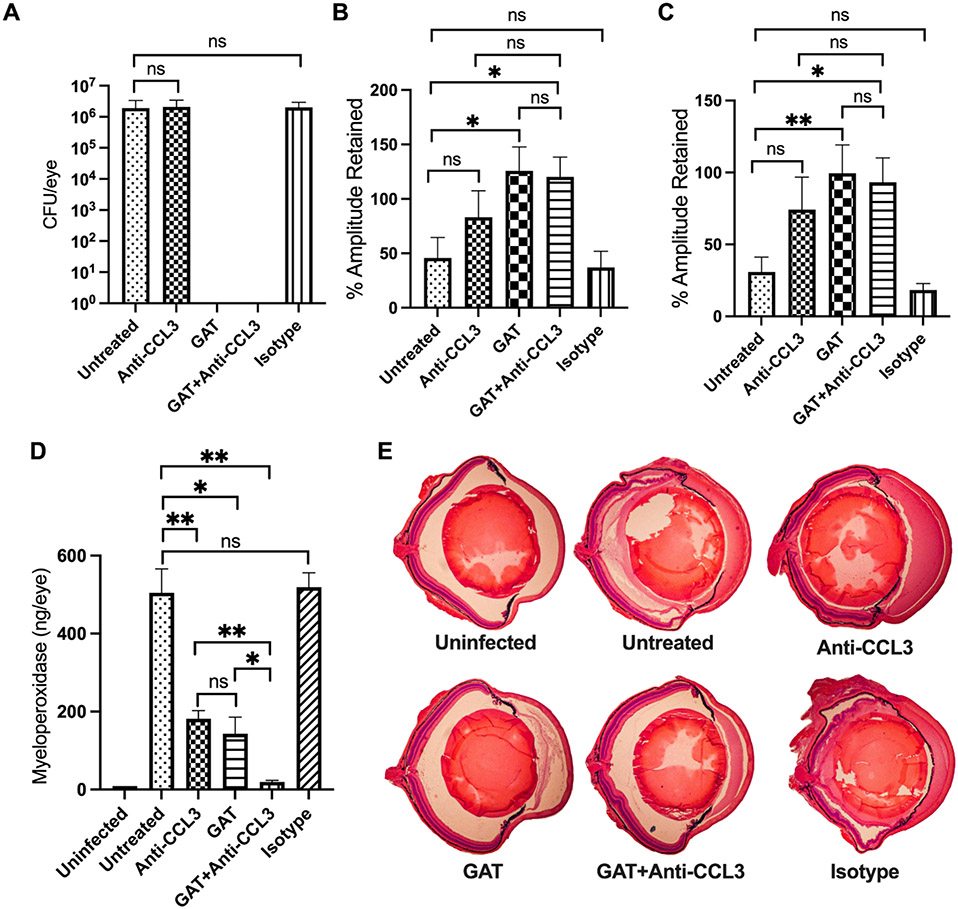 Fig. 9: