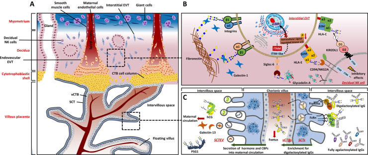 Figure 2.