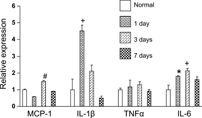 Fig. 3.