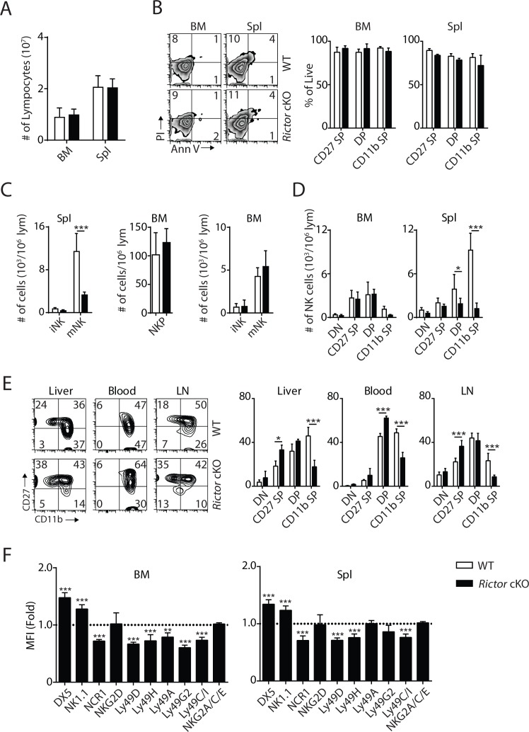 Figure 2—figure supplement 1.