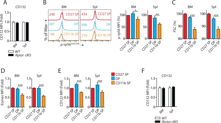 Figure 4—figure supplement 1.