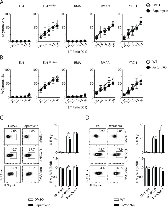 Figure 9—figure supplement 1.