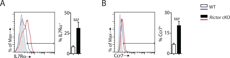 Figure 6—figure supplement 1.