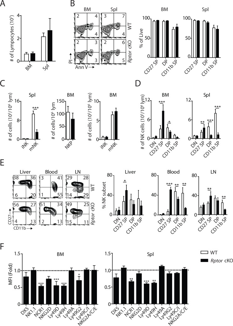 Figure 1—figure supplement 1.