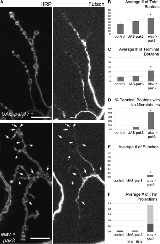 Figure 6 