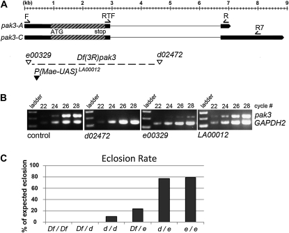 Figure 3 