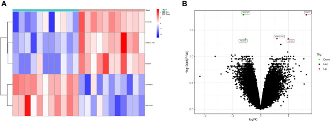 Figure 1