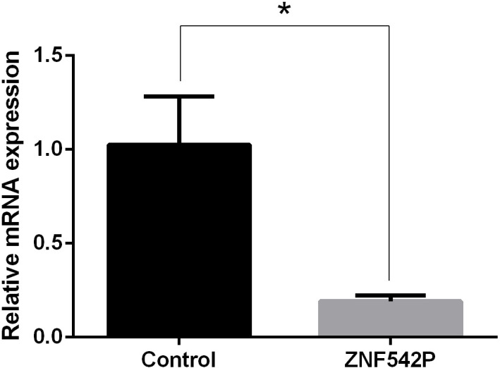 Figure 6