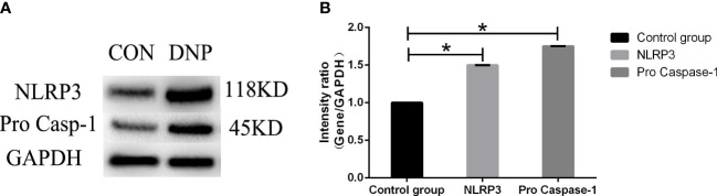 Figure 7