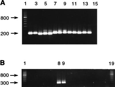 FIG. 5