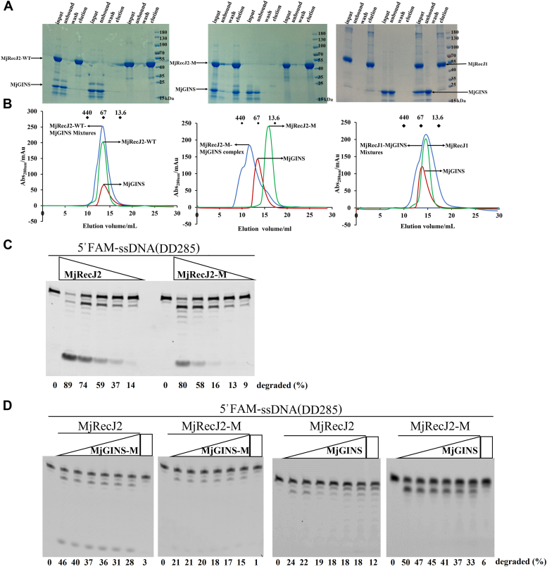 Figure 4