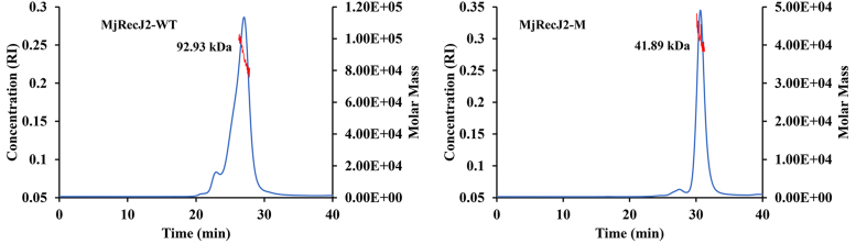 Figure 5