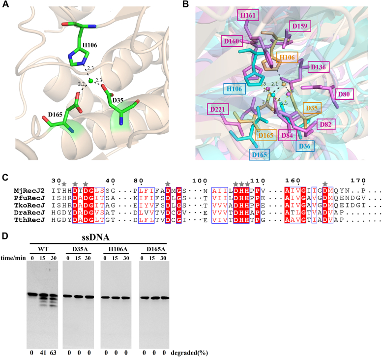 Figure 6