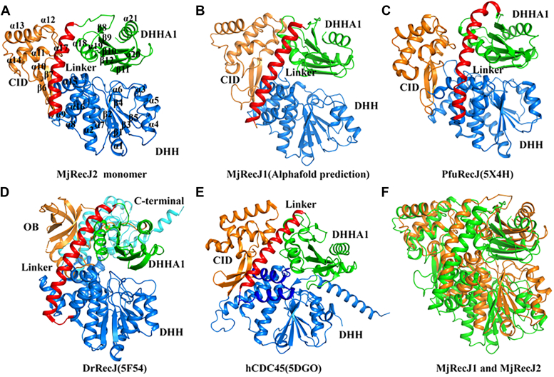 Figure 2