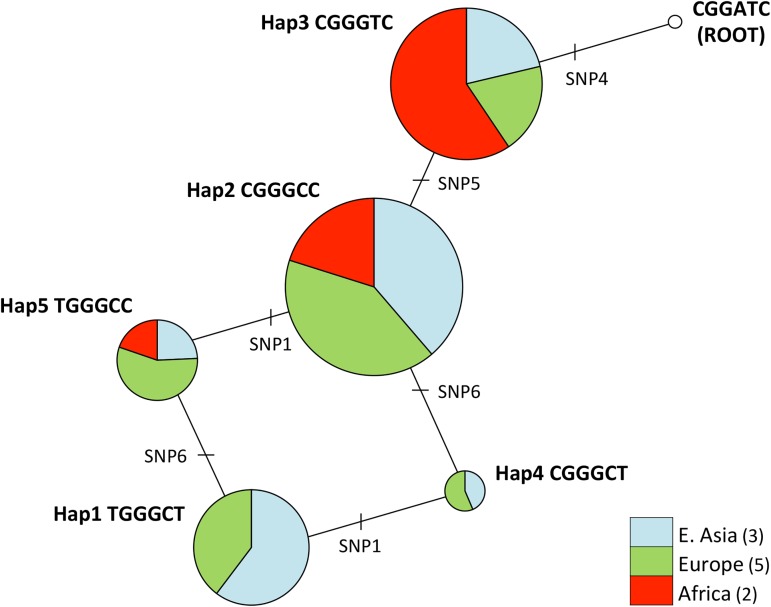 Fig 4