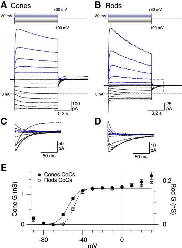 Figure 7.