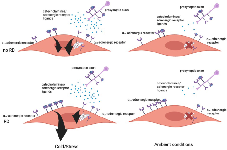 Figure 6