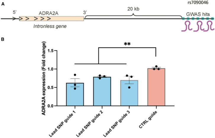 Figure 4