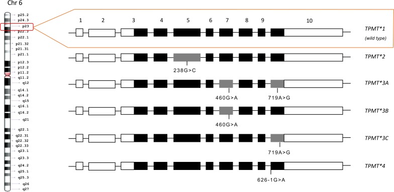 Fig. (2)