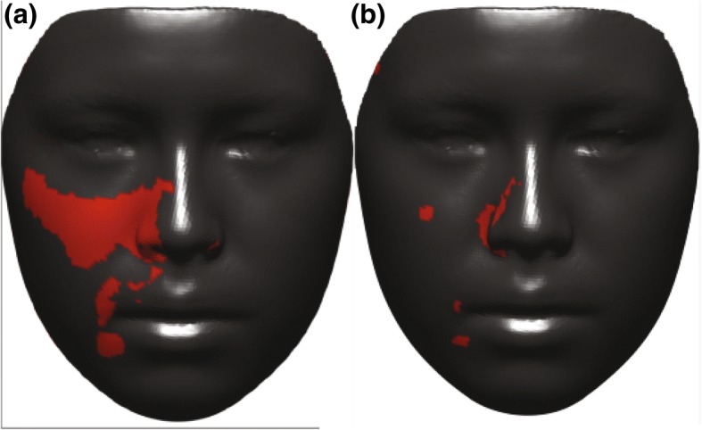 Fig. 10