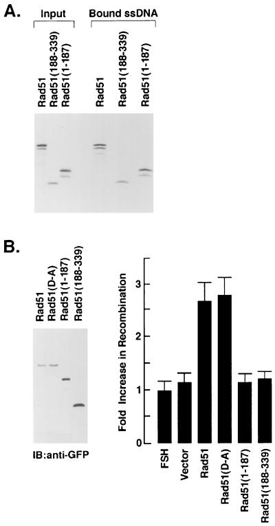 FIG. 7