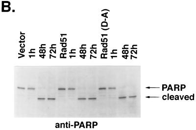 FIG. 10