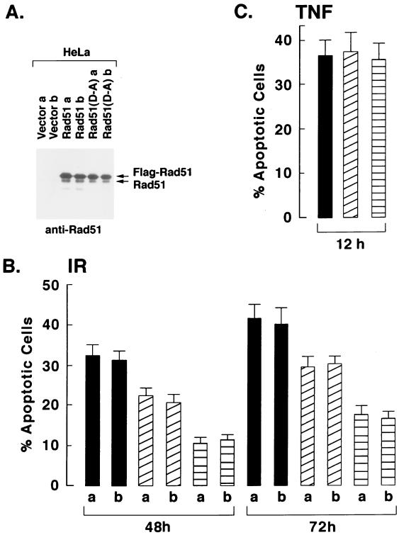 FIG. 9