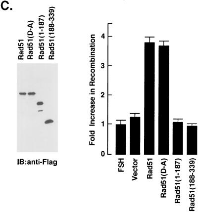 FIG. 7