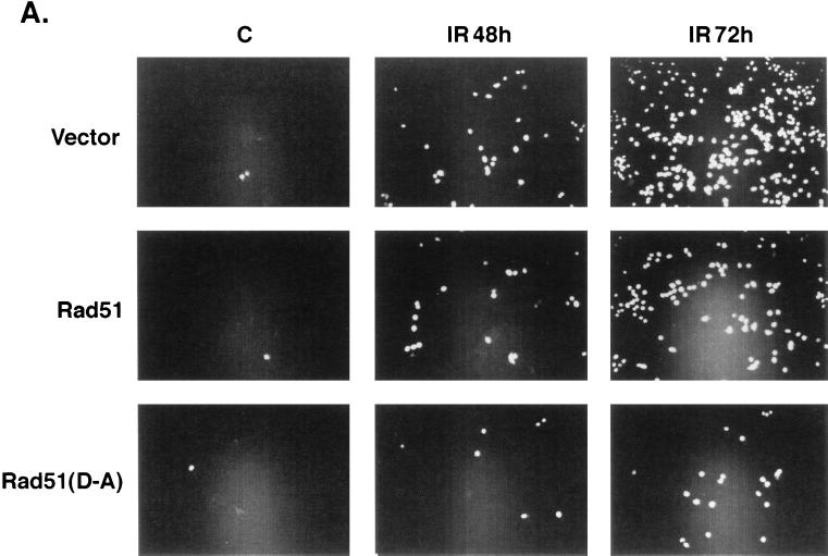 FIG. 10