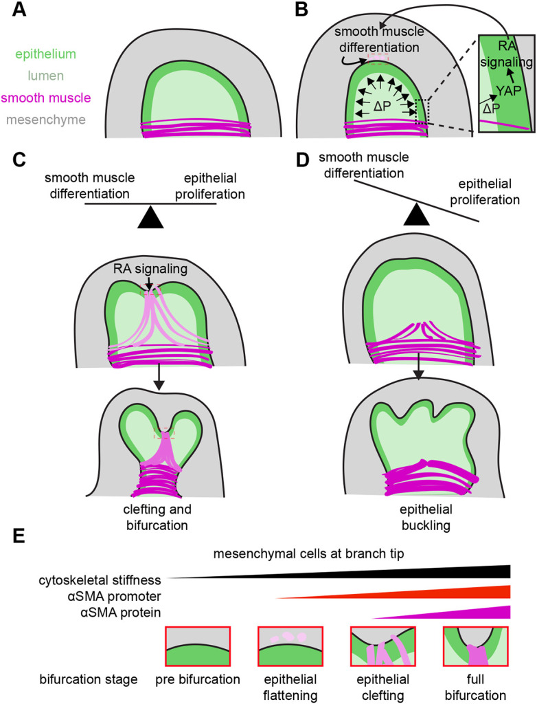 Fig. 8.