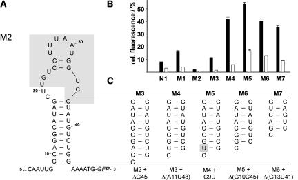 FIGURE 3.