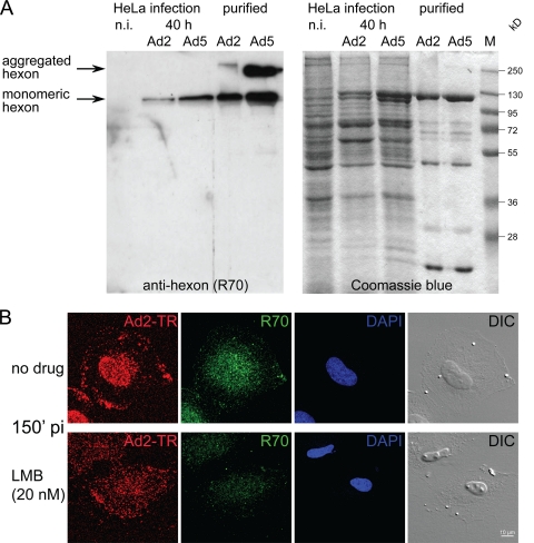 FIG. 8.