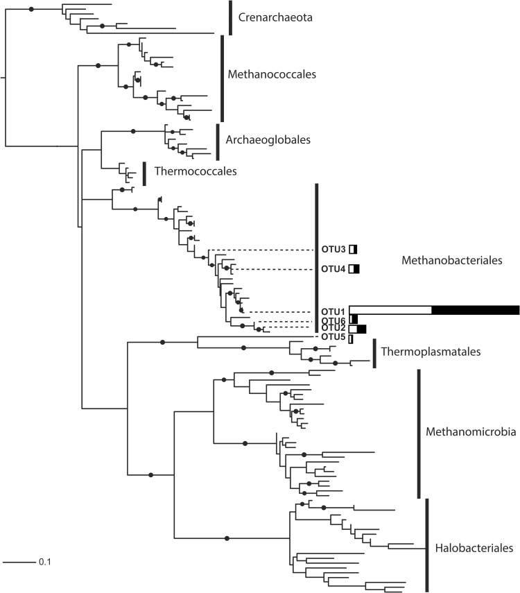 FIG 1