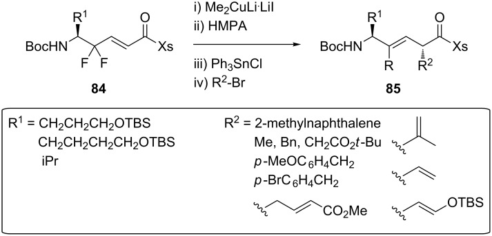 Scheme 16