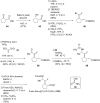 Scheme 19