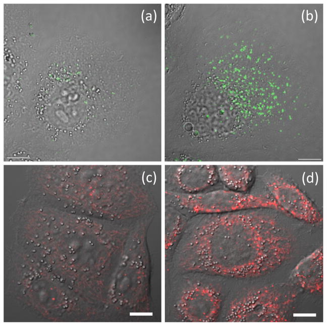 Fig. 18