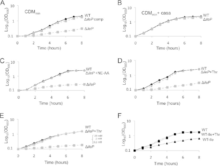 FIG 2