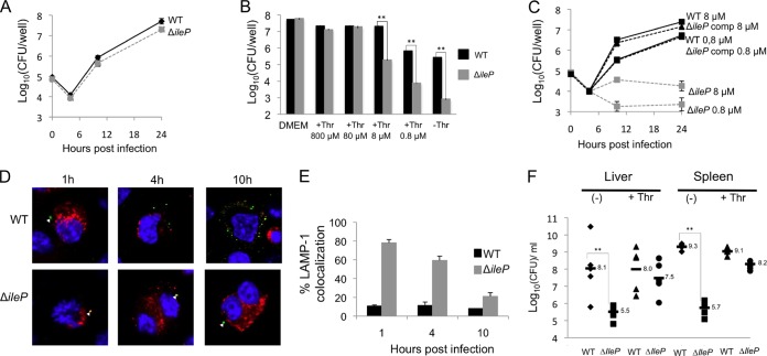 FIG 4