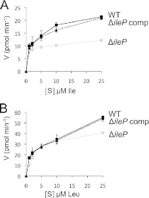 FIG 3