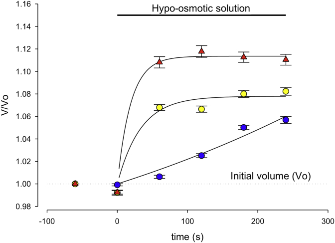 Fig. 2