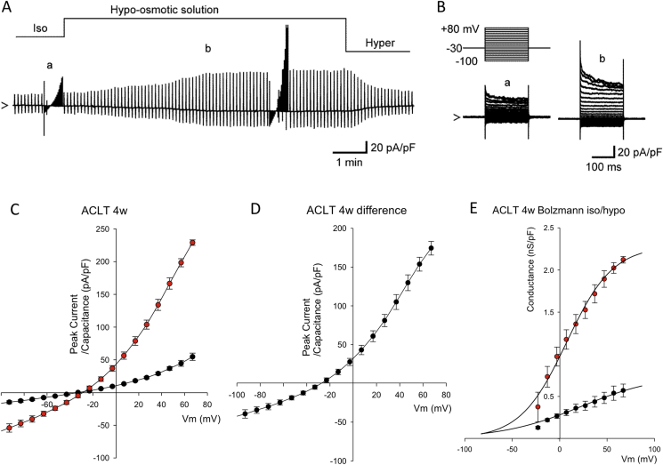 Fig. 6