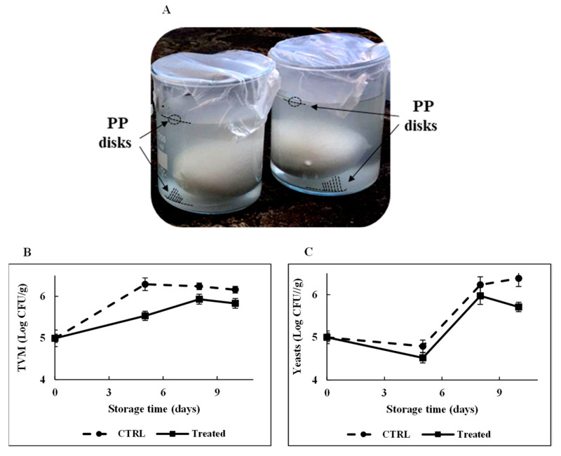 Figure 10