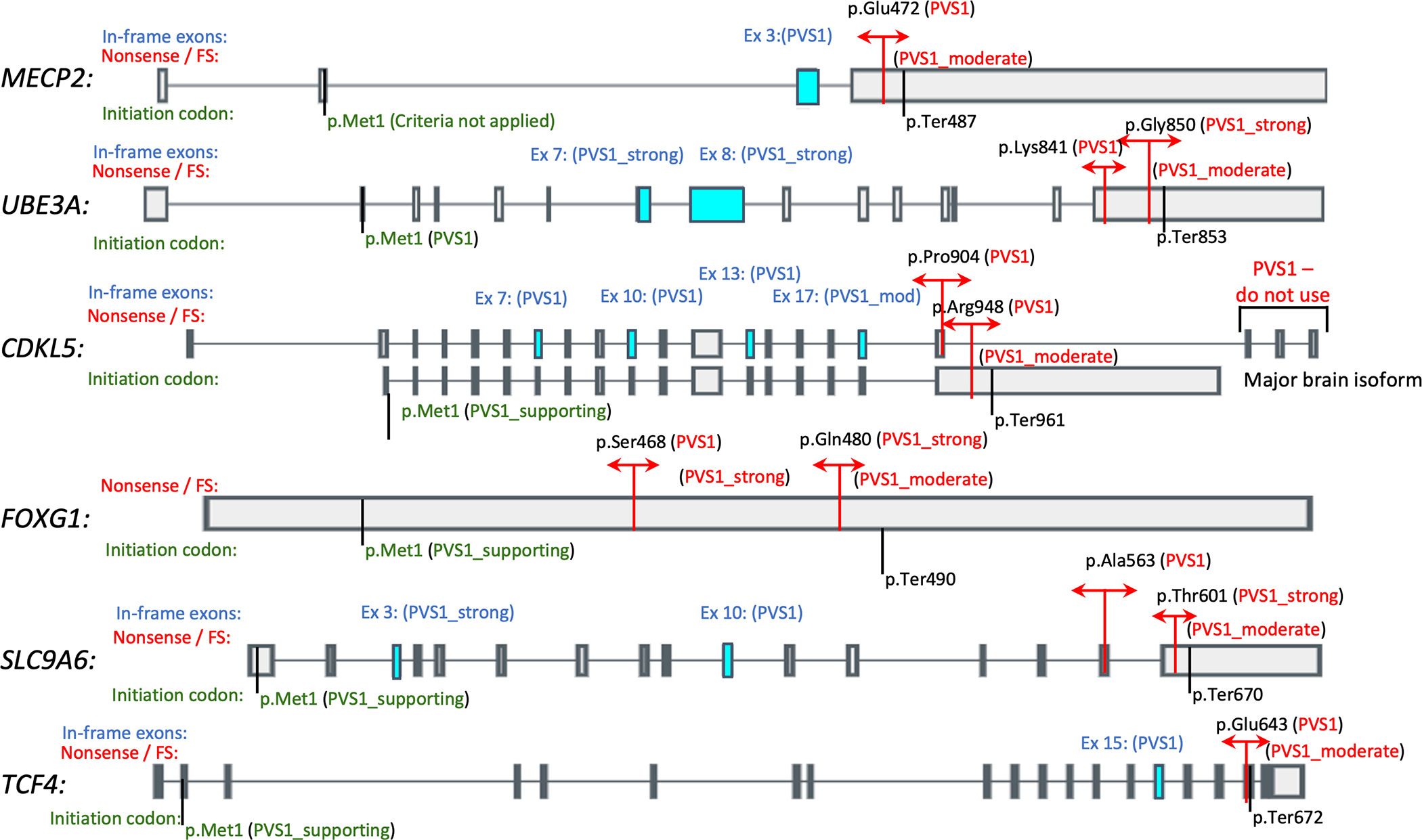 Figure 1: