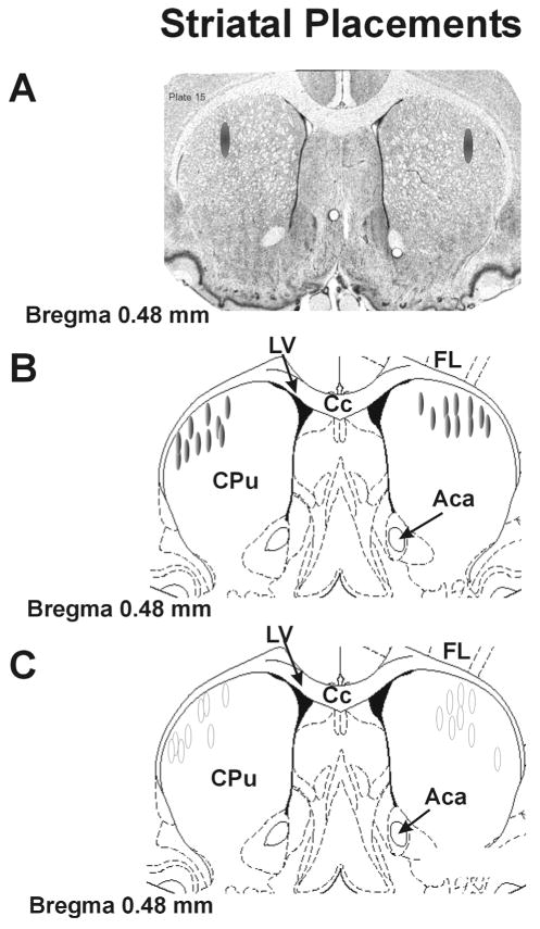 Fig. 5