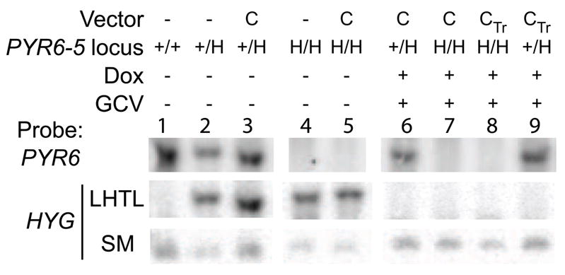 Fig. 4