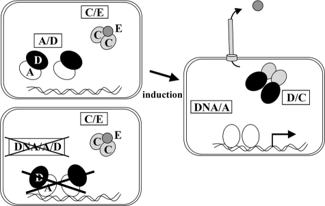 FIGURE 7.