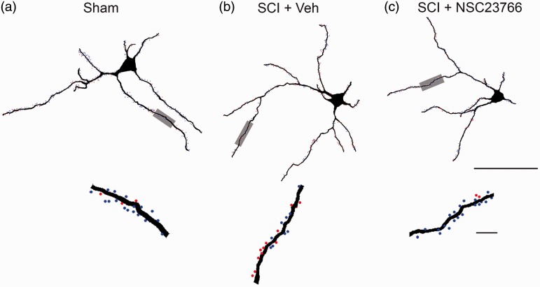 Figure 2.