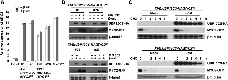 Figure 12.